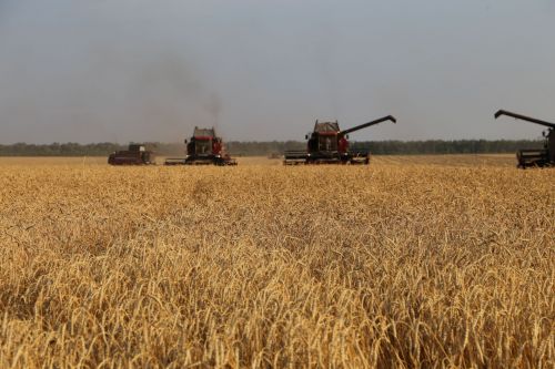 Аграрии Татарстана собрали второй миллион тонн зерна
