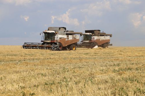 Оперативный прогноз погоды на 11 сентября