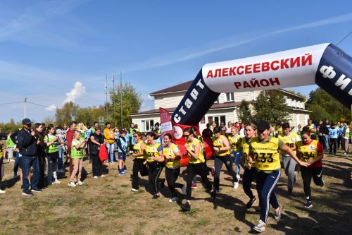 Четыре сотни алексеевцев стартовали в забеге «Кросса нации – 2023»