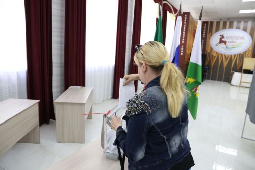 В Алексеевском проходят выборы депутатов в представительные органы новых регионов