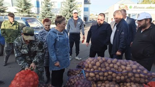 В Алексеевском прошла сельскохозяйственная ярмарка