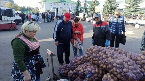 В Алексеевском прошла сельскохозяйственная ярмарка