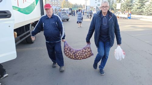 В Алексеевском прошла сельскохозяйственная ярмарка