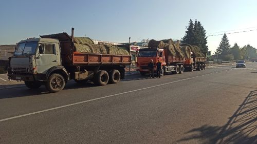 В Алексеевском прошла сельскохозяйственная ярмарка