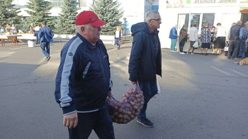 В Алексеевском прошла сельскохозяйственная ярмарка