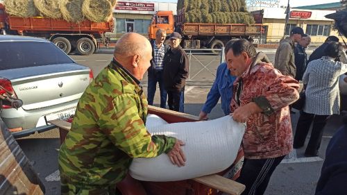 В Алексеевском прошла сельскохозяйственная ярмарка