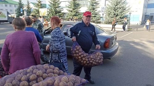 В Алексеевском прошла сельскохозяйственная ярмарка