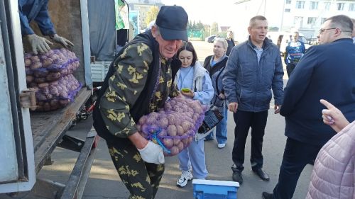 В Алексеевском прошла сельскохозяйственная ярмарка