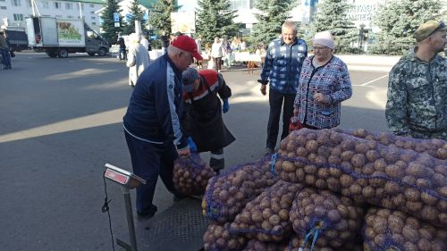 В Алексеевском прошла сельскохозяйственная ярмарка