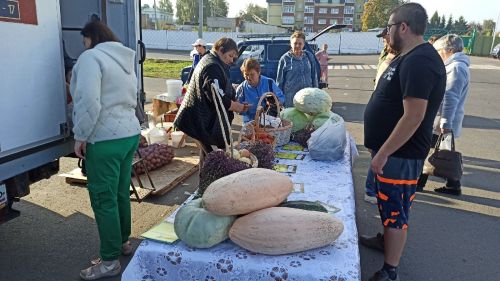 В Алексеевском прошла сельскохозяйственная ярмарка