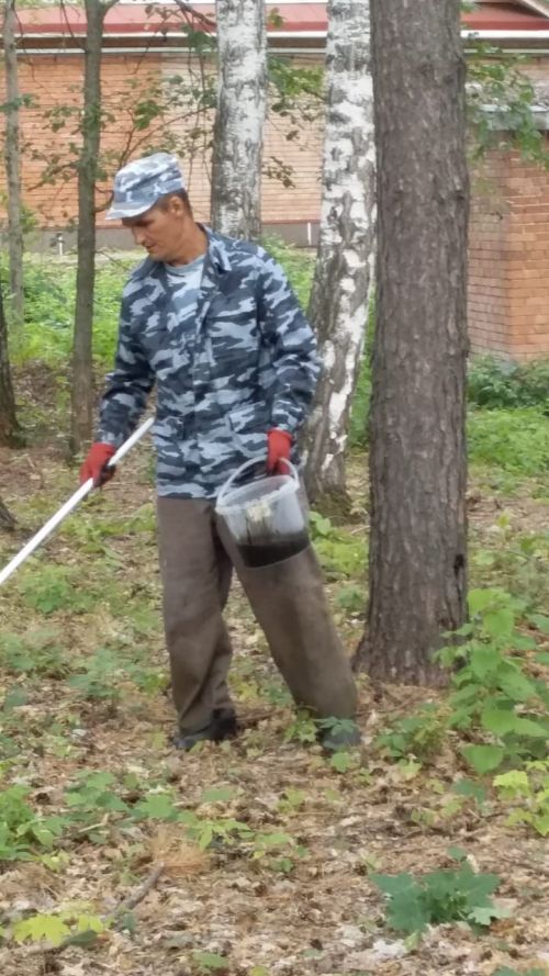 Сотрудники Билярского музея-заповедника приняли участие во Всероссийской акции «Сохраним лес»
