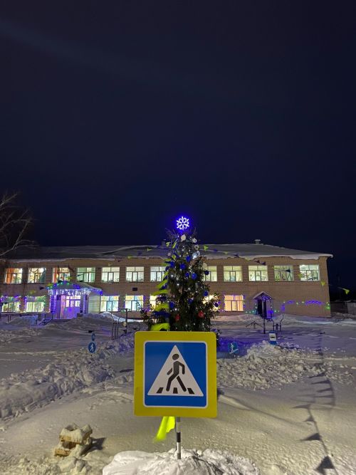 Школа в Мокрых Курналях нарядила необычную елку