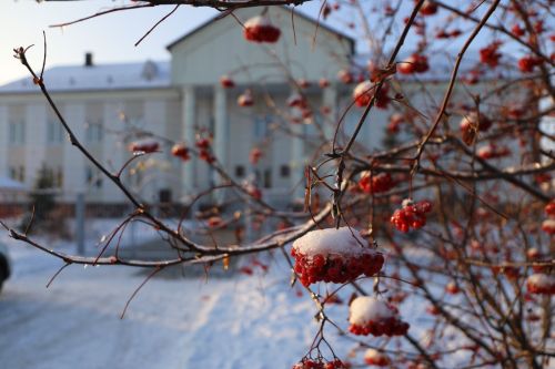 Прогноз погоды на 9 января