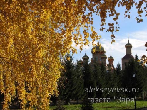 Оперативный прогноз погоды для жителей Алексеевского района на 2 октября