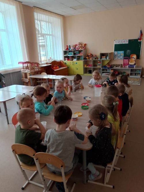 В детском саду «Ромашка» прошли обсуждения, посвящённые теме «Наука в действии»