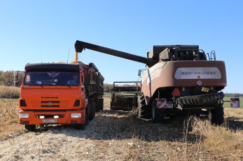 Көзге урып-җыю төгәлләнеп килә АПК