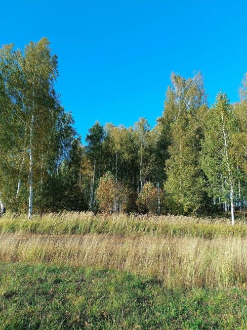 Ежедневный оперативный прогноз погоды на 4 октября