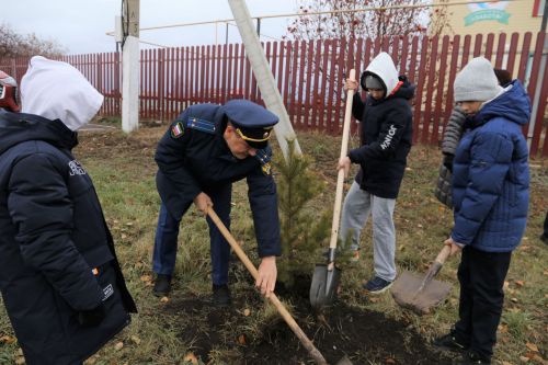 Работники прокуратуры и воспитанники приюта «Забота» высадили аллею деревьев