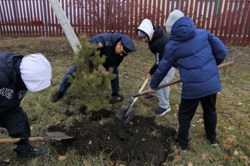 Работники прокуратуры и воспитанники приюта «Забота» высадили аллею деревьев