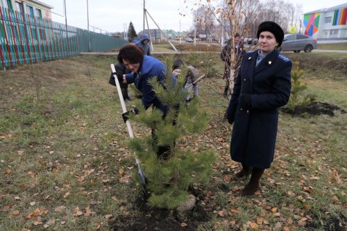 Работники прокуратуры и воспитанники приюта «Забота» высадили аллею деревьев
