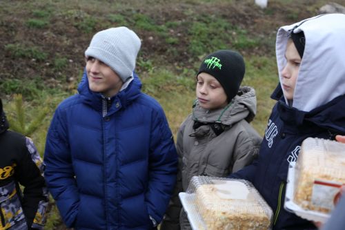 Работники прокуратуры и воспитанники приюта «Забота» высадили аллею деревьев