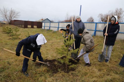 Работники прокуратуры и воспитанники приюта «Забота» высадили аллею деревьев