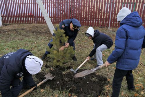 Работники прокуратуры и воспитанники приюта «Забота» высадили аллею деревьев