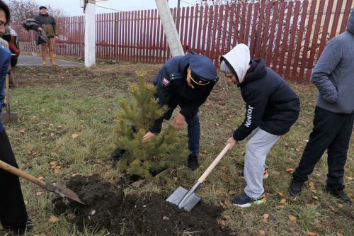 Работники прокуратуры и воспитанники приюта «Забота» высадили аллею деревьев