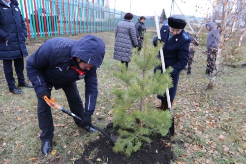 Работники прокуратуры и воспитанники приюта «Забота» высадили аллею деревьев