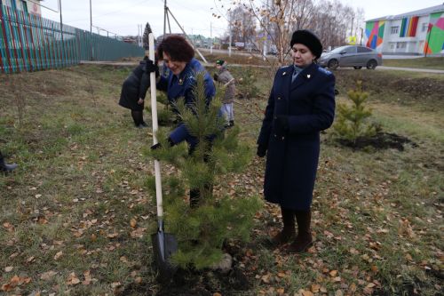 Работники прокуратуры и воспитанники приюта «Забота» высадили аллею деревьев