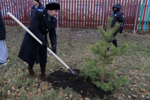 Работники прокуратуры и воспитанники приюта «Забота» высадили аллею деревьев