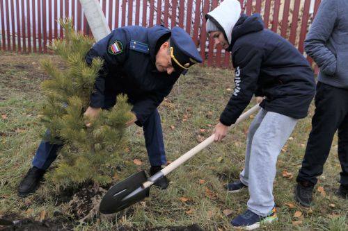 Работники прокуратуры и воспитанники приюта «Забота» высадили аллею деревьев