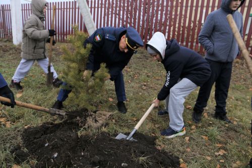 Работники прокуратуры и воспитанники приюта «Забота» высадили аллею деревьев