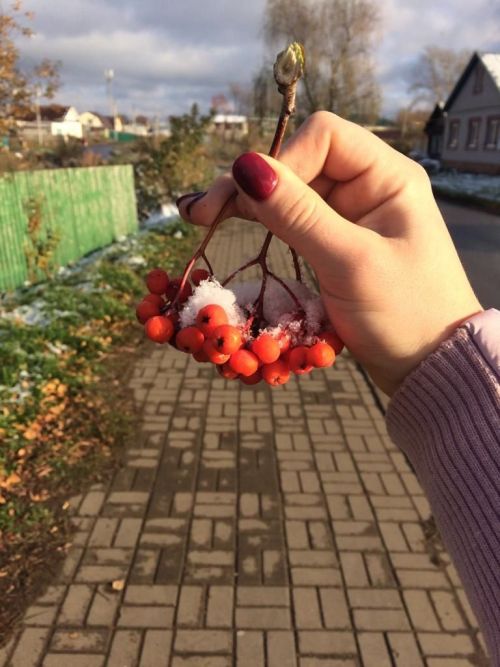 Прогноз погоды в Алексеевском районе на 13 ноября