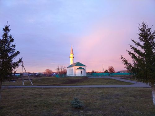 Прогноз погоды в Алексеевском районе на 15 ноября