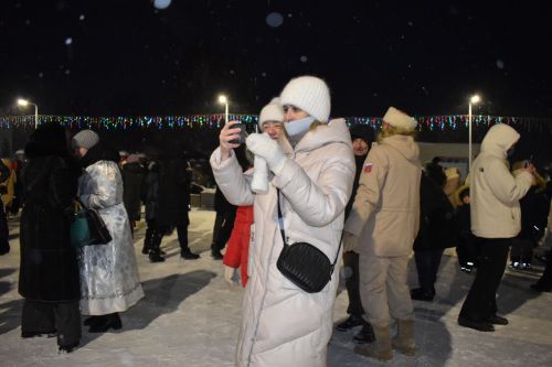 В Алексеевском состоялось открытие главной елки