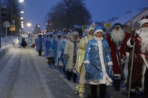 В Алексеевском состоялось открытие главной елки