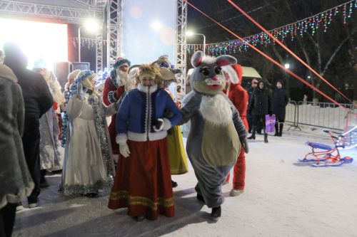 В Алексеевском состоялось открытие главной елки