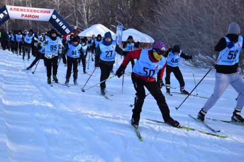 В Алексеевском дали старт «Лыжне России - 2024»