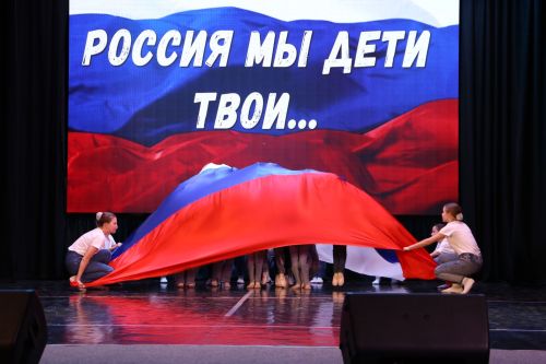 В Алексеевском  состоялся благотворительный концерт в поддержку земляков-участников СВО