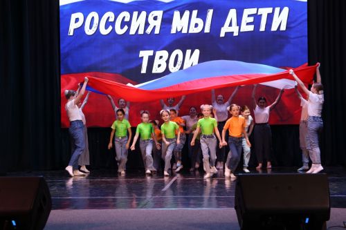 В Алексеевском  состоялся благотворительный концерт в поддержку земляков-участников СВО