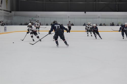 Алексеевские хоккеисты стали обладателями кубка «Элгрант»