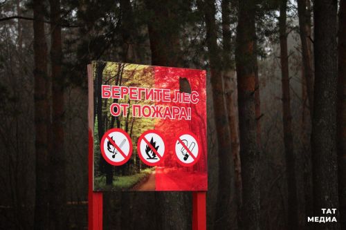 В Татарстане готовятся ввести противопожарный режим