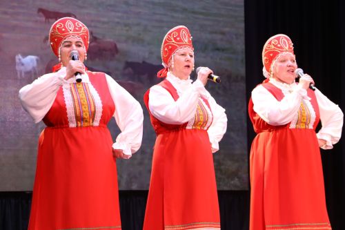Алексеевские артисты выступили на фестивале «Балкыш – Сияние»
