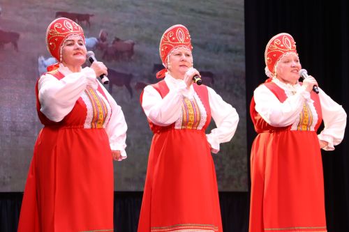 Алексеевские артисты выступили на фестивале «Балкыш – Сияние»