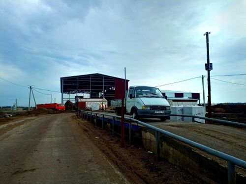 Войкинские буренки в ЛПХ «осваивают» новый корм