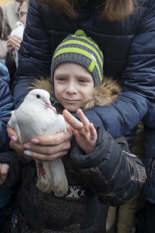 На волю птичку выпускаю…