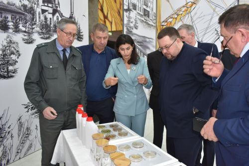 В Алексеевском районе прошел ежегодный съезд пчеловодов