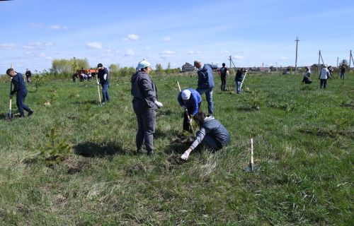 Алексеевские дорожники организовали субботник в парке «Дорожник»