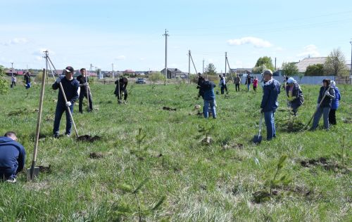 Алексеевские дорожники организовали субботник в парке «Дорожник»
